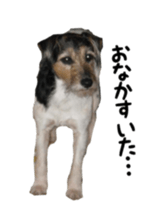 Photo of Leo-kun sticker #15649092