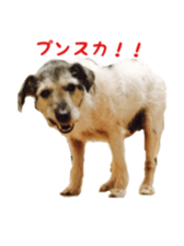 Photo of Leo-kun sticker #15649093