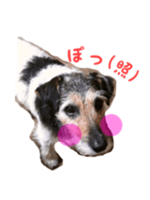 Photo of Leo-kun sticker #15649094