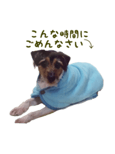 Photo of Leo-kun sticker #15649095