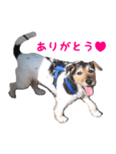 Photo of Leo-kun sticker #15649096