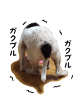 Photo of Leo-kun sticker #15649098