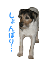 Photo of Leo-kun sticker #15649100