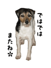 Photo of Leo-kun sticker #15649101