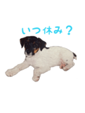 Photo of Leo-kun sticker #15649102