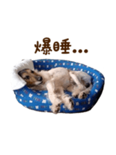 Photo of Leo-kun sticker #15649104
