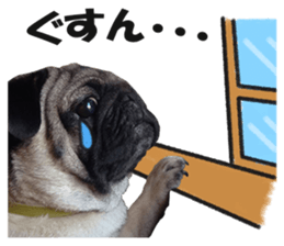 Maruchan the Pug 2 sticker #15649186