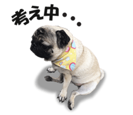 Maruchan the Pug 2 sticker #15649204