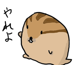 Squirrel hamster sticker #15649235