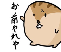 Squirrel hamster sticker #15649241