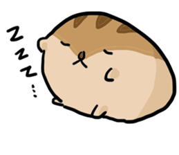 Squirrel hamster sticker #15649242