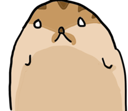 Squirrel hamster sticker #15649244