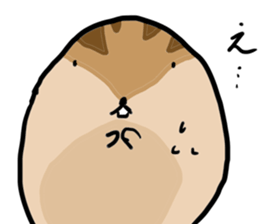 Squirrel hamster sticker #15649245