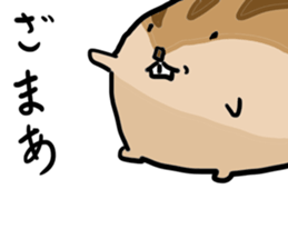 Squirrel hamster sticker #15649247