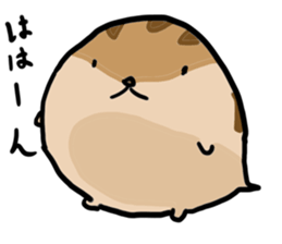 Squirrel hamster sticker #15649248