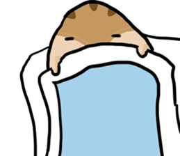 Squirrel hamster sticker #15649249