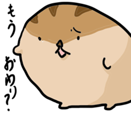 Squirrel hamster sticker #15649250