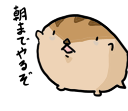 Squirrel hamster sticker #15649251
