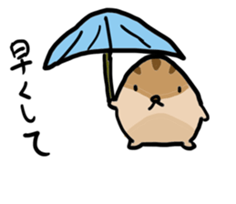 Squirrel hamster sticker #15649253