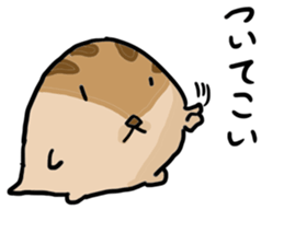 Squirrel hamster sticker #15649255