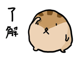 Squirrel hamster sticker #15649258