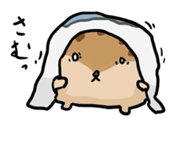 Squirrel hamster sticker #15649259