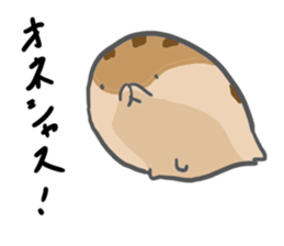 Squirrel hamster sticker #15649260