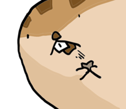 Squirrel hamster sticker #15649264