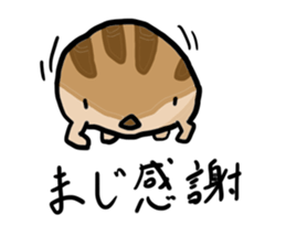 Squirrel hamster sticker #15649265