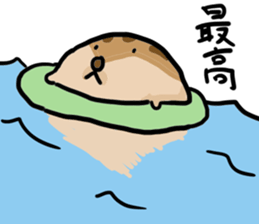 Squirrel hamster sticker #15649267