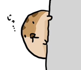 Squirrel hamster sticker #15649268