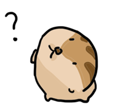 Squirrel hamster sticker #15649270