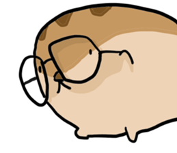 Squirrel hamster sticker #15649272