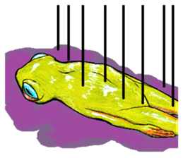 Kiiro-frogs sticker #15649887