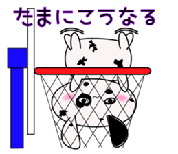 Dalmatian Cat sticker #15650541