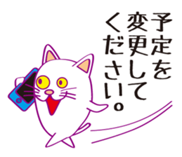 Cat cat Company sticker #15651447