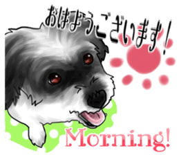 My name is Sammy! sticker #15651674