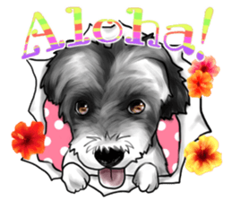 My name is Sammy! sticker #15651676