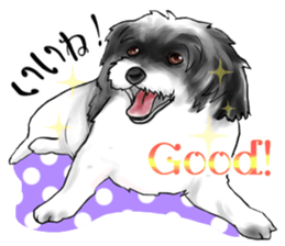 My name is Sammy! sticker #15651677