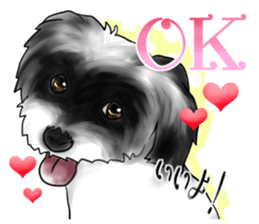 My name is Sammy! sticker #15651678