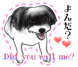 My name is Sammy! sticker #15651682