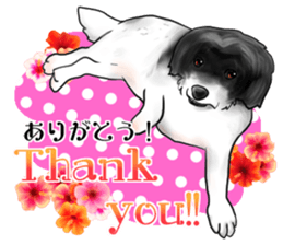 My name is Sammy! sticker #15651684