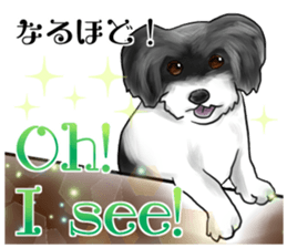 My name is Sammy! sticker #15651689