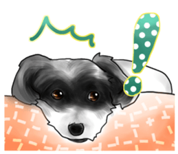 My name is Sammy! sticker #15651692