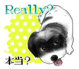 My name is Sammy! sticker #15651694