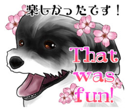 My name is Sammy! sticker #15651696