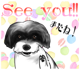 My name is Sammy! sticker #15651697