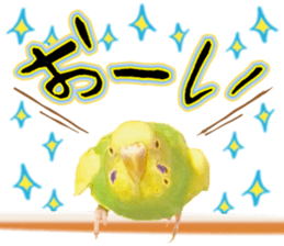 Parakeet 100% sticker #15654379