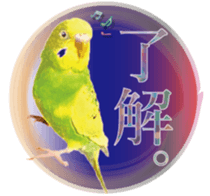 Parakeet 100% sticker #15654394