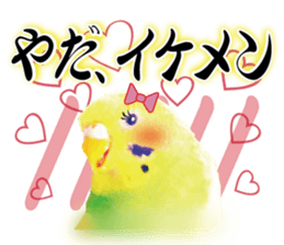 Parakeet 100% sticker #15654399